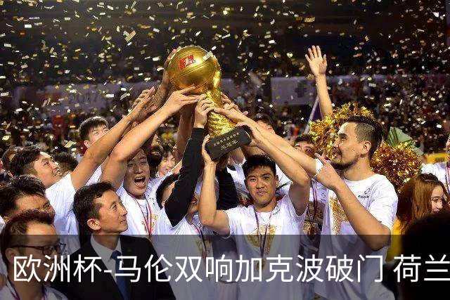 欧洲杯-马伦双响加克波破门 荷兰3-0罗马尼亚
